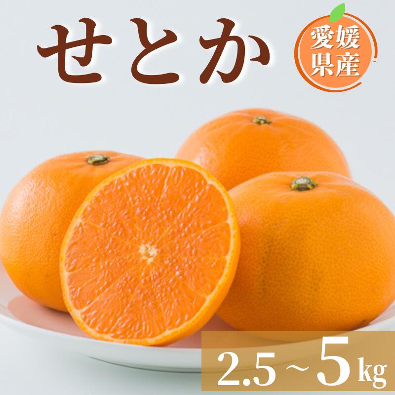 【ふるさと納税】みかん 愛媛 せとか L～3Lサイズ 【選べる容量】 約2.5kg 約5kg バラ詰め ご家庭用 ＜2026年2月中旬から順次発送予定＞ 先行予約 数量限定 人気 柑橘 フルーツ 国産 愛媛県産 伊予市
