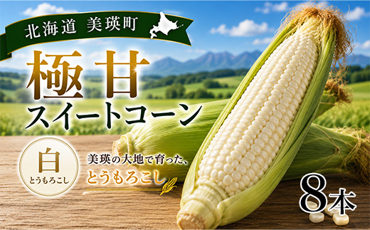 【先行予約】北海道 とうもろこし（白）8本 ホワイトコーン 令和8年産 おおとり