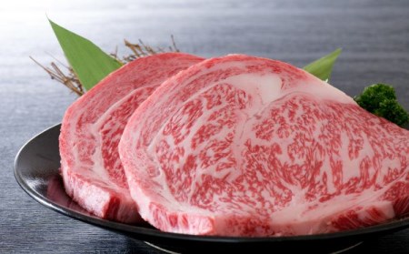 ステーキ 山形牛 千日和牛 特選サーロイン 500g ステーキ
