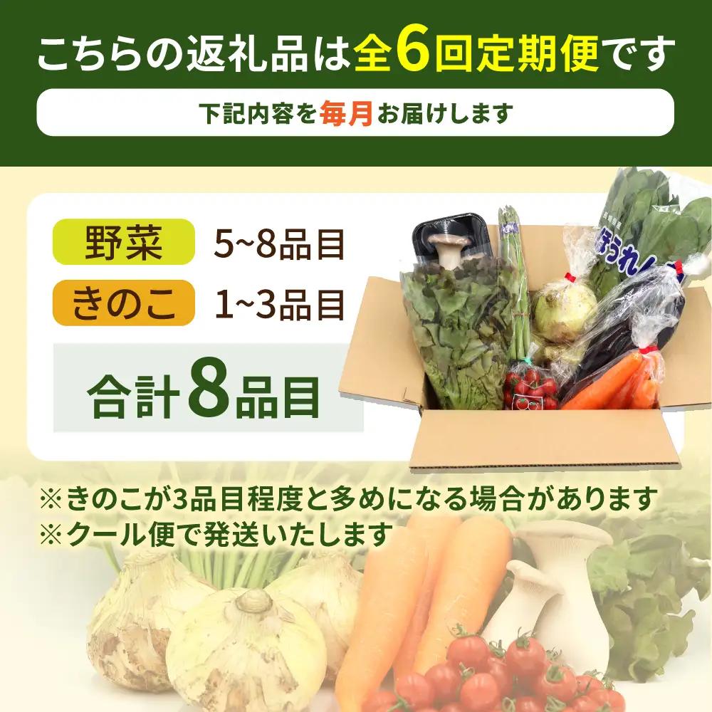 【6回定期便】野菜定期便 8品目 [SCZ029]