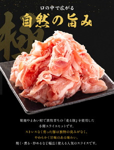 菊池やまあいの豚小間スライス 2kg《90日以内に出荷予定》(土日祝除く)》1パック200g 豚肉 豚小間 スライス済み 小分け 熊本県産 九州産 国産 冷凍 送料無料