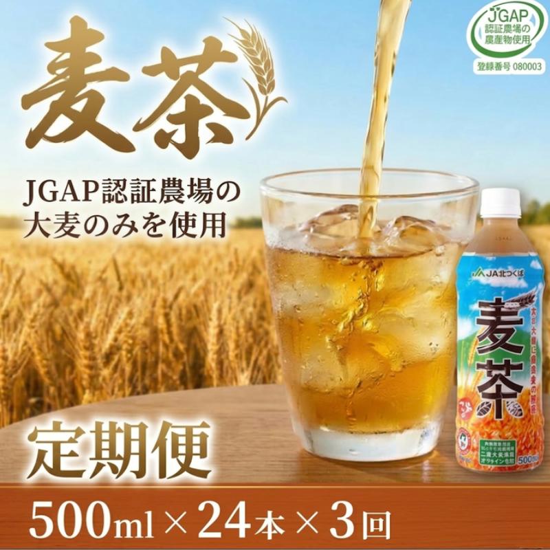 【ふるさと納税】【 3ヶ月 定期便 】 JA北つくば JGAP認証 麦茶 1箱 ( 500ml × 24本 ) JGAP JA お茶 茶 ペットボトル 麦 大麦 二条大麦 ノンカフェイン カフェインゼロ