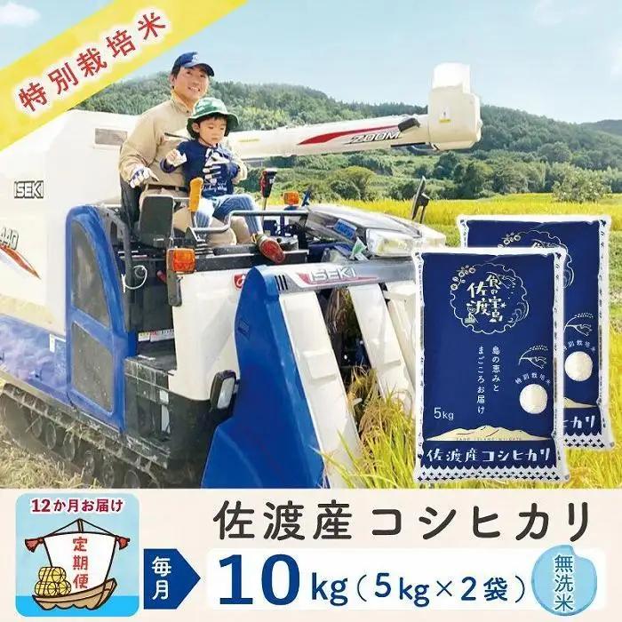 【定期便 10kg 12回】 無洗米 コシヒカリ 令和8年 計 120キロ | 佐渡産 コシヒカリ 195962-3324