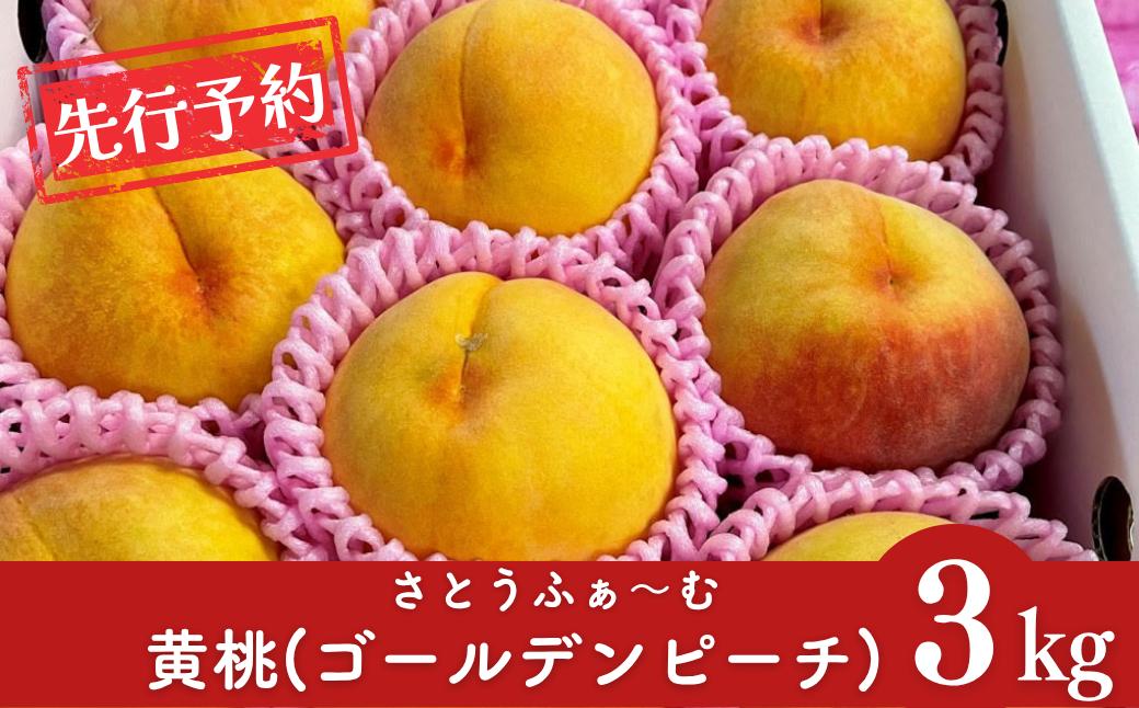 
            先行予約 黄桃 (ゴールデンピーチ) 3kg 令和8年度 新潟県産 黄桃 [さとうファーム]【014S010】
          