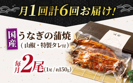 【6回定期便】 鰻蒲焼 2本セット パック 御嵩町 / 鰻 季節料理 魚邦[AVBH012]