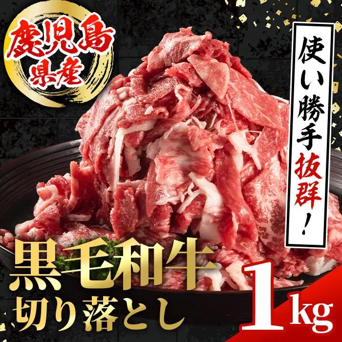 鹿児島県産 黒毛和牛 切り落とし 計1kg 500g×2パック 牛肉切り落とし 【スターゼン】 i1000