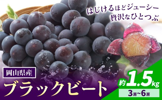 【先行予約】岡山県産 ぶどう ブラックビート 計 1.5kg 3房 ～ 6房 株式会社 はちや《8月上旬-9月上旬頃出荷》岡山 国産 葡萄 フルーツ 果物 岡山県 浅口市 フルーツ 果物【配送不可地域あり】---124_c2107_8a9a_25_17500_1500g---