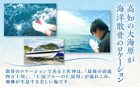 【3,000円分】愛猫のための代行海洋散骨供養チケット (粉骨・散骨証明書・ブックレット付) / ペット供養 愛猫供養 猫 ねこ ネコ 海 埋葬 自然葬 葬儀 お別れ 弔い サービス 代行 委託 メモ