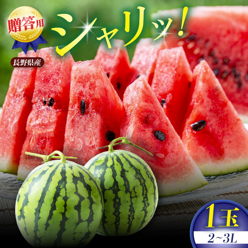 【ふるさと納税】【先行受付：7月～発送】 贈答用 信州松本平産 西瓜 2～3L 1個　～高原の恵みが生んだ、甘くみずみずしい夏の味～ │ すいか スイカ 野菜 夏 果物 新鮮 自然 甘い 美味しい 長野県 信州 松本 ふるさと納税