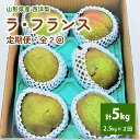 【ふるさと納税】【 定期便 全2回 】 ラ・フランス 2.5kg を 2回 お届け 果物 フルーツ 洋なし お取り寄せ 山形 産地直送 送料無料 秋 旬 山形県 上山市 0012-2512