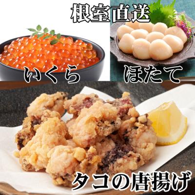 ふるさと納税 根室市 たこ唐揚げ250g×2P、ほたて貝柱500g×1P、いくら醤油漬け100g×1P C-30074
