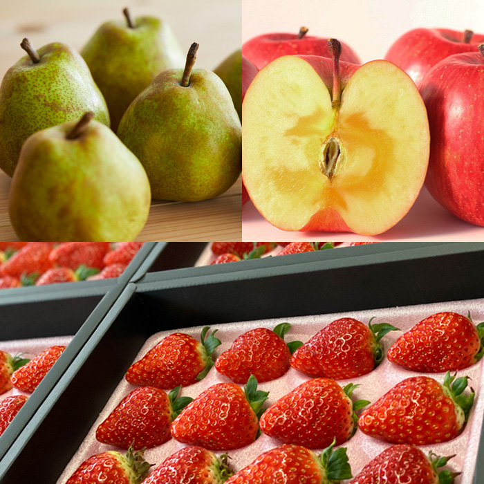 【定期便4回】栽培のプロが選ぶ山形の秋冬プレミアムフルーツ【令和8年産先行予約】FU21-946