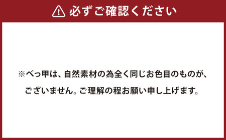 【7営業日以内発送】【数量限定】本べっ甲フォーク ／ カトラリー 食器 キッチン用品 実用品 インテリア 長崎県 長崎市