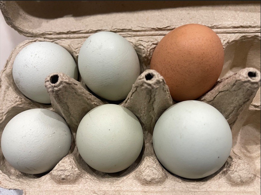 大地の恵みを実感