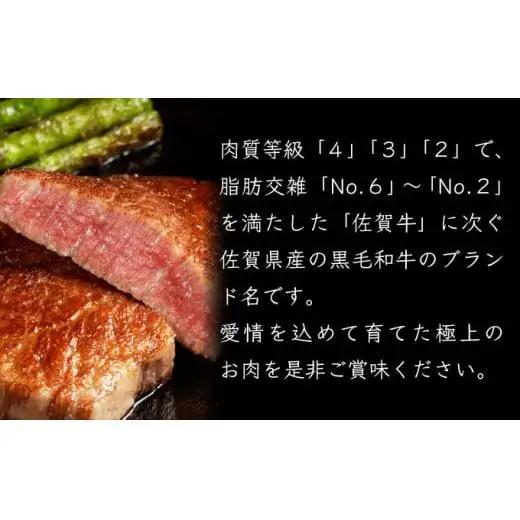 【佐賀産和牛】120gｘ3枚 ヒレステーキ E-281