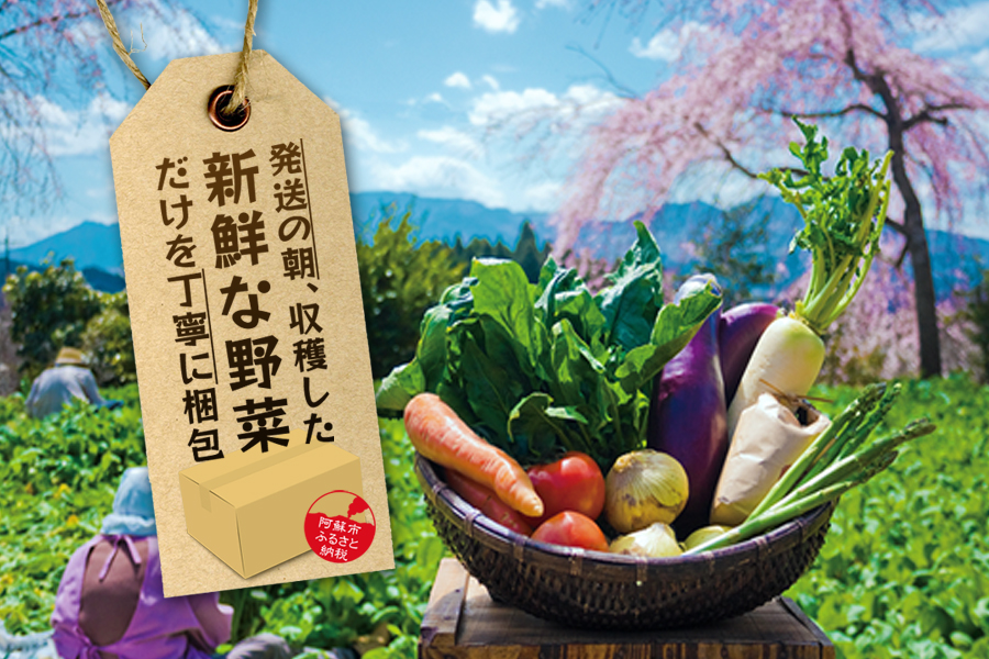 【選べる内容量】季節の お野菜 セット Sサイズ（3品） 詰め合わせ やさい 果物 新鮮 減農薬 高原 旬 産地直送 採れたて 朝採れ みずみずしい 甘い 美味しい 人気 安心 安全 おすすめ お中元