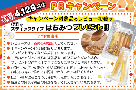 【PRキャンペーン対象】【新米】【7年産】 近江米 夢ごこち 5kg × 2袋 【T035W1】 新米 白米 ご飯 精米
