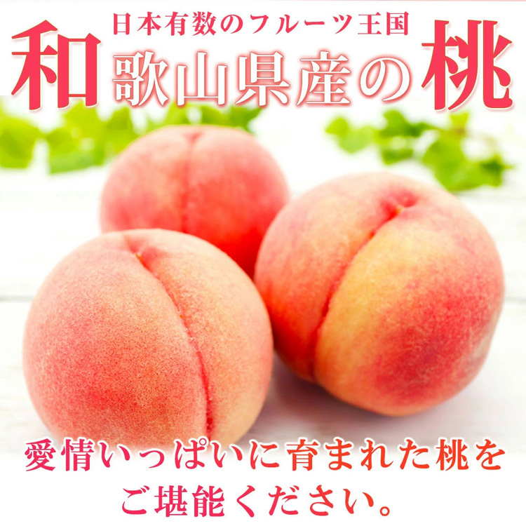 紀州和歌山産の桃 15玉 化粧箱入◇ ※2025年6月下旬～8月上旬頃に順次発送予定_イメージ1