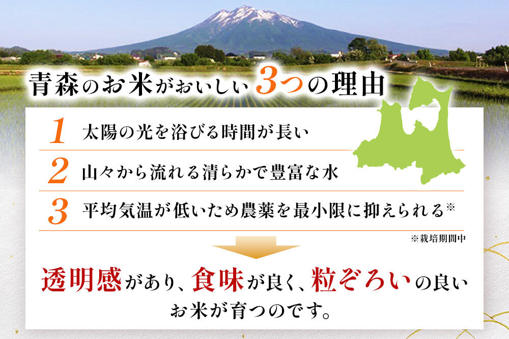 【寄附金額見直しました】《定期便3ヶ月》【白米】青森県産 まっしぐら 10kg 精米 お米 青森県産 ブランド米
