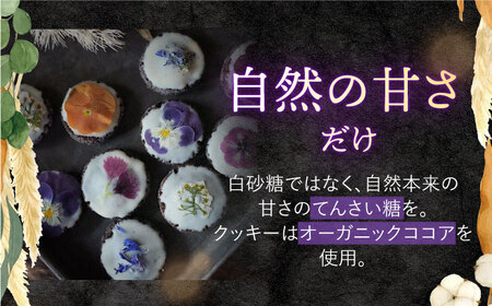お花のクッキーアソート1ケース（10個入り）＜自然と暮らす　ぐりーん＞[CEM008]