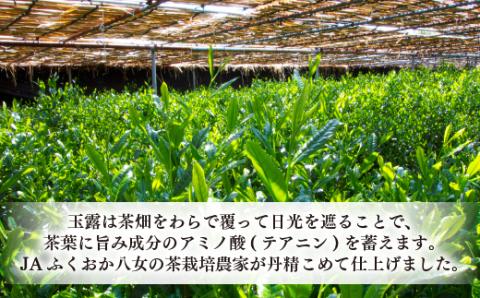 AD224.福岡の八女茶．玉露ボトル缶（２９０ｇ×２４缶）【八女茶】