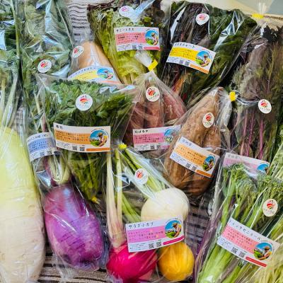 ふるさと納税 春日井市 【定期便2回(夏・冬)】つかさ農園 季節のお野菜詰め合わせ(6〜8種) ※北海道・沖縄・離島配送不可 |  | 01