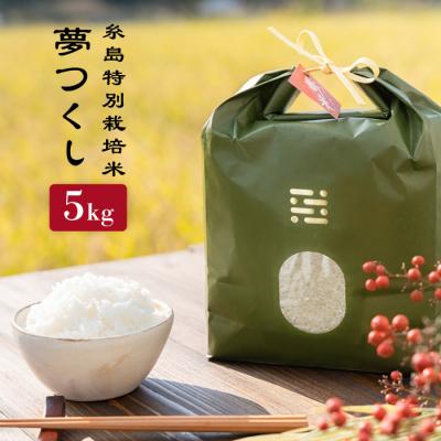 ふるさと納税 糸島市 とくべつの中のとくべつ糸島特別栽培米5kg 夢つくし 糸島市/itoshimacco[ARJ008]