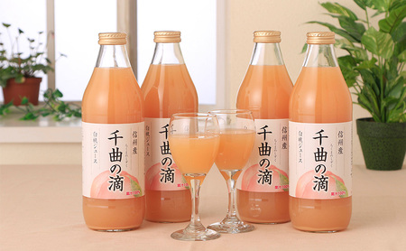 3ヵ月連続お届け！毎月変わる果汁100％人気ジュースセット定期便【1回目】信州産 りんごジュース 果汁100％「しぼりっぱなし」  (1L×6本)【2回目】信州産 巨峰ジュース 果汁100％「紫宝の恵