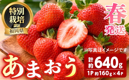 ＜先行予約受付中！2027年3月～4月発送予定＞ うるう農園の あまおう MLサイズ (計約640g・約160g×4P) 苺 いちご イチゴ 果物 フルーツ 国産 福岡県 ヨーグルト ジャム スムージー 冷蔵 春発送 特別栽培 ＜離島配送不可＞【ksg1964】【うるう農園】