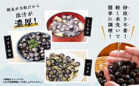 青森県 小川原湖産 冷凍 大和しじみ 3Lサイズ 2kg