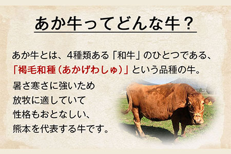 あか牛 ロースセット 計400g ロース焼肉200g ローススライス200g あか牛の館 《60日以内に出荷予定(土日祝除く)》熊本県 南阿蘇村