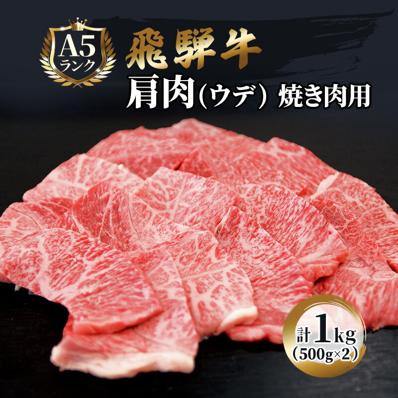 【ふるさと納税】ふるさと納税　飛騨牛 牛肉 焼肉 肩肉 (ウデ) 500g×2 計1kg A5 和牛 　お届け：※12月16日～1月10日は出荷出来ませんのでご注意下さい。