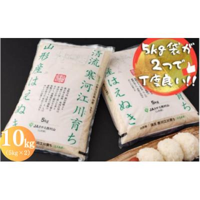 ふるさと納税 寒河江市 【令和7年産】清流寒河江川育ち 山形産はえぬき10kg(5kg×2袋)