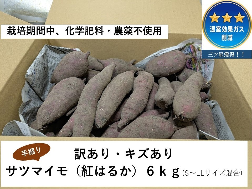 
            ≪訳あり≫ 栽培期間中、化学肥料・農薬不使用　温室効果ガス削減に貢献しながら、のどかな畑で大切に育てた　キズあり　サツマイモ（紅はるか）６ｋｇ　S～LLサイズ混合  MF-01
          