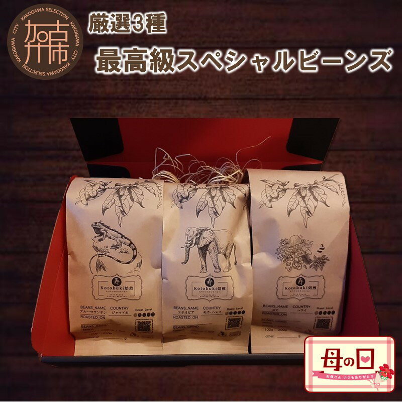 【ふるさと納税】＼母の日／最高級スペシャルビーンズ 厳選3種《 焙煎豆 焙煎 コーヒー 珈琲 》