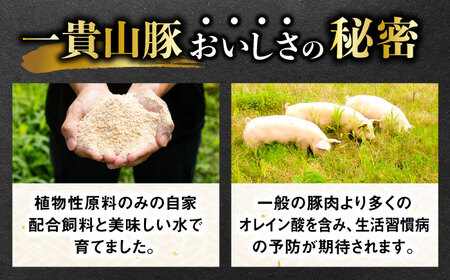 一貴山豚 精肉バラエティセット 計1980g 糸島市 / いきさん牧場 豚肉 冷凍[AGB065]