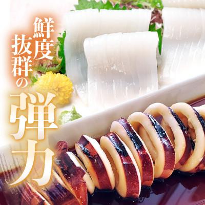 ふるさと納税 美浜町 【先行受付】11月〜順次発送　大好評!墨抜き済!活〆!若狭アオリイカの生冷凍1kg |  | 01