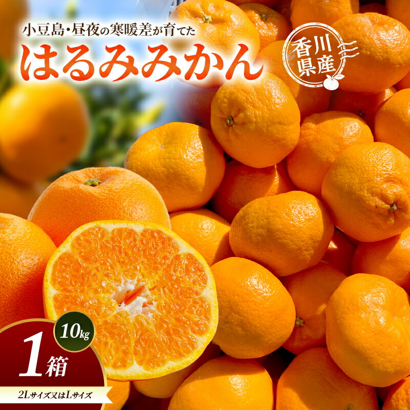 【ふるさと納税】小豆島・昼夜の寒暖差が育てたはるみみかん 2L又はL 1箱(10kg) はるみ みかん 柑橘 フルーツ 果物 くだもの 香川 香川県 土庄 土庄町　お届け：2027年2月15日～2027年2月28日