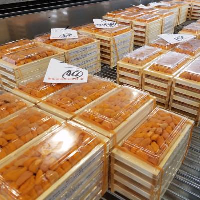 ふるさと納税 網走市 【網走前浜産】 冷凍蝦夷ばふん雲丹　100g |  | 03