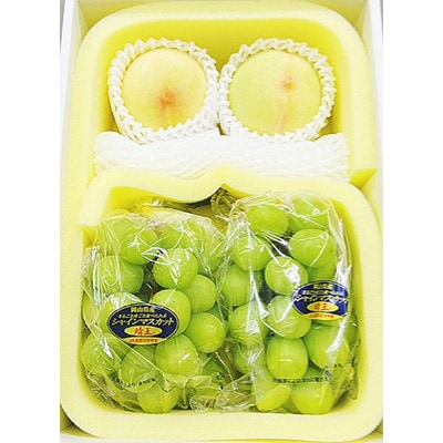 【2025年発送】岡山県産　詰合せ/白桃とシャインマスカット『晴王』 化粧箱入り【配送不可地域：離島・北海道・沖縄県】