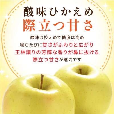 【2026年11月より順次発送】青森りんご トキ 約10kg 訳あり 平均糖度13度以上!【配送不可地域：沖縄県】
