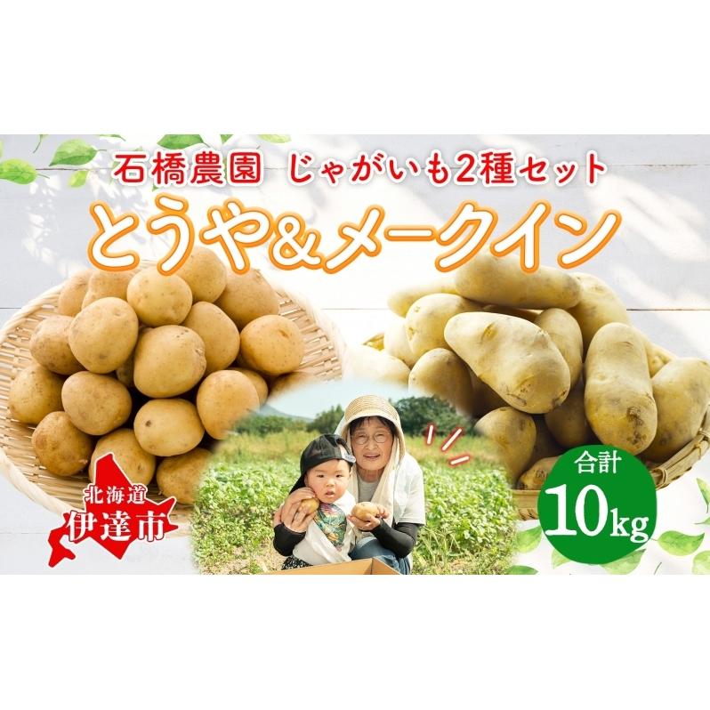  北海道 じゃがいも 2種 とうや メークイン 食べ比べ セット 各5kg 計10kg LM～2L サイズ 先行受付 馬鈴薯 トウヤ メイクイーン ポテト イモ 根菜 農作物 産地直送