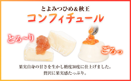 コンフィチュール＆セミドライフルーツ 秋王 いのうえ農園 株式会社アジア開発貿易《30日以内に出荷予定(土日祝除く)》福岡県 鞍手郡 鞍手町 ドライフルーツ 柿 かき フルーツ くだもの 果物 ジャム