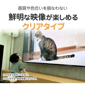 大阪府和泉市　TGCL-50　50インチ用　テレビ画面保護パネル　クリアタイプ　テレビガード【1669368】