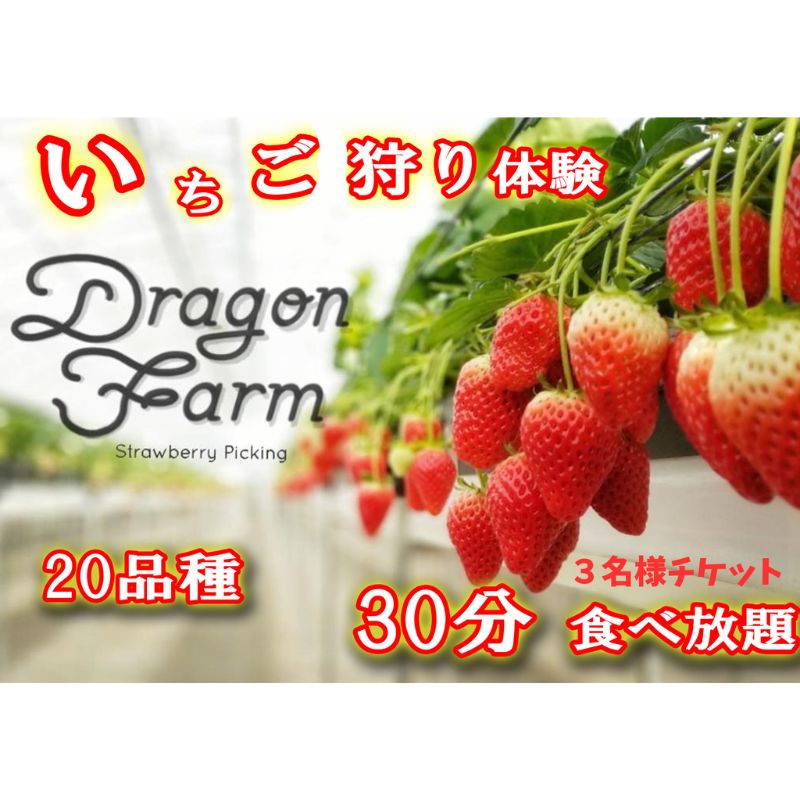 【ふるさと納税】いちご狩り3名用チケット 体験チケット フルーツ狩り 親子 子連れ ファミリー 食べ比べ お出かけ