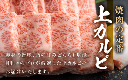 飛騨牛 焼肉用 上カルビ 500g JAひだ 飛騨牛 [S446]