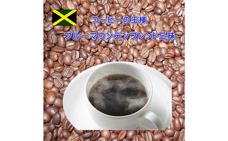 ブルーマウンテンブレンド三昧（1kg）