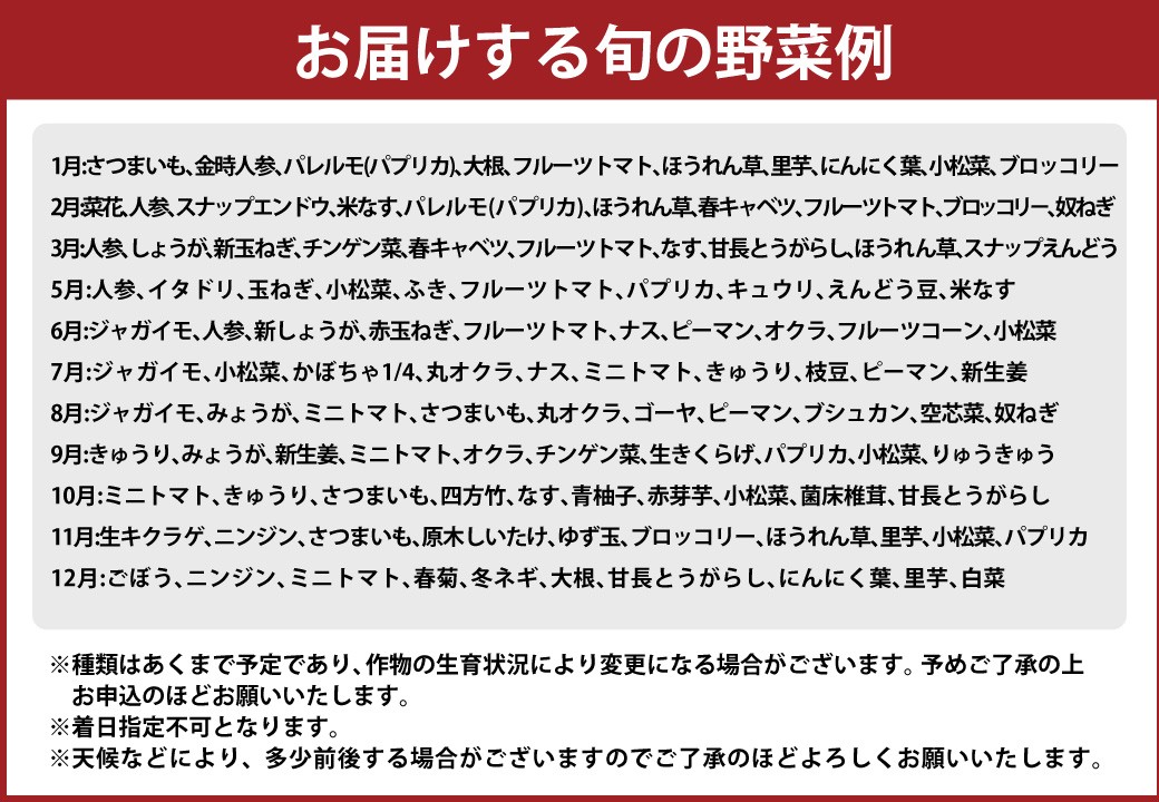 高知の野菜（10品目）＋ゆずポン酢セット