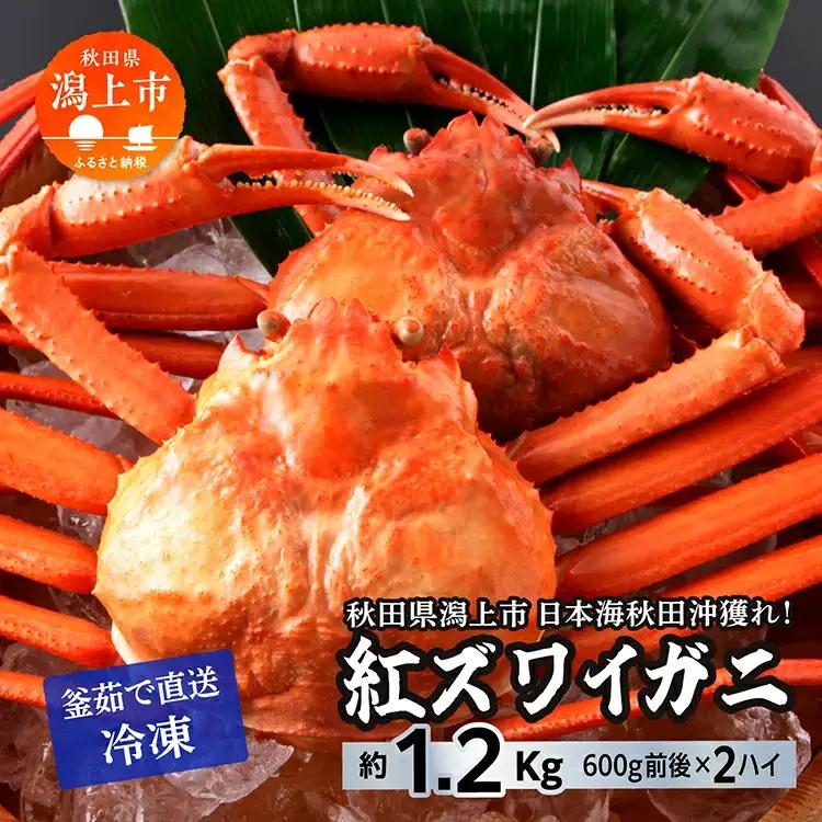 紅ズワイガニ 冷凍 2匹 1.2kg【安田水産】