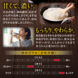 【定期便全6回】令和5年産 うりゅう米 ゆめぴりか 10kg（5kg×2袋）毎月1回お届け